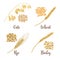 Wheat, barley, oat and rye. Cereals 3d icon vector set. Four cereals grains and ears