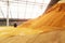 Wheat at bulk cargo warehouse storage