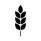 Wheat cereal icon. Fiber oat. Logo bakery. Spike wheat. Bread grain isolated on background. Seed flour barley, corn, rye, malt, br