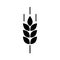 Wheat cereal icon. Fiber oat. Logo bakery. Spike wheat. Bread grain isolated on background. Seed flour barley, corn, rye, malt, br