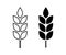 Wheat cereal icon. Fiber oat. Logo bakery. Spike wheat. Bread grain isolated on background. Seed flour barley, corn, rye, malt, br