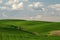 Wheat and Clouds