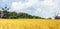 Wheat crop field Old wooden mill, farm house windmil