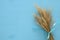 wheat crop on wooden table. Symbols of jewish holiday - Shavuot