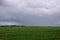 Wheat crops under cloud cover, Saskatchewan, Canada.