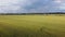 Wheat cultivated fields near Ploiesti City Romania , aerial view