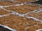 Wheat drying on the white fabric at local town