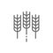 Wheat ear, grain line icon.