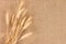 Wheat Ears border on Burlap background