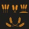 Wheat ears or rice icons set. Agricultural symbols isolated on dark background. Design elements for bread packaging or beer label.