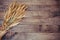 Wheat ears on rustic wooden background.Wheat ears on rustic wooden background.Background of ripening ears of wheat field