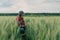 Wheat farmer and agronomist inspecting cereal crops quality in cultivated agricultural plantation field