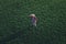 Wheat farmer standing and looking over wheatgrass field, aerial view