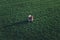 Wheat farmer using drone remote controller in wheatgrass field, aerial