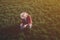 Wheat farmer using drone remote controller in wheatgrass field, aerial