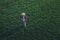 Wheat farmer using drone remote controller in wheatgrass field, aerial