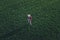 Wheat farmer using drone remote controller in wheatgrass field, aerial