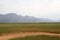 Wheat farming in Darling, Vredenburg, the Western Cape area.