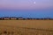 Wheat field with adjacent suburban area by full moon in hazy sky