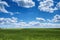 Wheat field against blue sky with white clouds. Agriculture scene