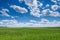 Wheat field against blue sky with white clouds. Agriculture scene