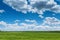 Wheat field against blue sky with white clouds. Agriculture scene