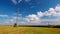 Wheat field background