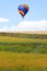 Wheat field and balloons