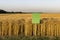 Wheat field with blank board for description