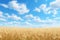 Wheat field and blue sky with clouds. 3D illustration, A dreamy endless wheat field under a baby blue sky with fluffy white clouds