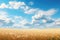 Wheat field and blue sky with clouds. 3d rendering, A dreamy endless wheat field under a baby blue sky with fluffy white clouds,