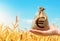 Wheat field and euro money bag. Agroindustry and the agricultural business. World hunger. Grains and cereals deficits, livestock