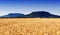 Wheat field at extinct volcanoes
