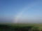 Wheat field and fog and fog rainbow summer