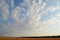 Wheat field, forest, blue sky. White cloud patterns.