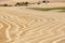 Wheat field freshly cut. Agriculture background landscape. Summer