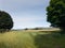 Wheat field in Glen Clova