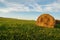 Wheat field with green grass and a golden haystack