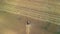 Wheat field harvest. Industrial personnel on the agrarian theme. View from a quadcopter to harvesters from harvesting