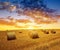 Wheat field after harvest with straw bales