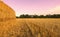 Wheat field harvested with hay bales at sunset - Sezzadio - Piemonte