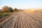 Wheat field after harvesting, stubble lines converging on the horizon, early morning. Ukraine