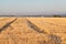 Wheat field after harvesting, stubble lines converging on the horizon. View of city Dnipro and church. Ukraine, peace