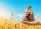 Wheat field and indian rupee money bag. Agroindustry and the agricultural business. World hunger. World food security crisis, high