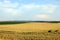 Wheat field landscape Vojvodina