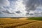 Wheat field near Firle Beacon and Newhaven with views to the south coast and English Channel