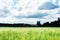 Wheat field next to a Finnish farmhouse