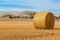 Wheat field with packed hay rolls, hay bales