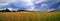 Wheat field panorama view