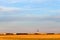 Wheat field, railway cars, trucks traveling along the road, a gr